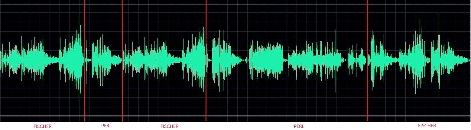 Fiorentino waveform