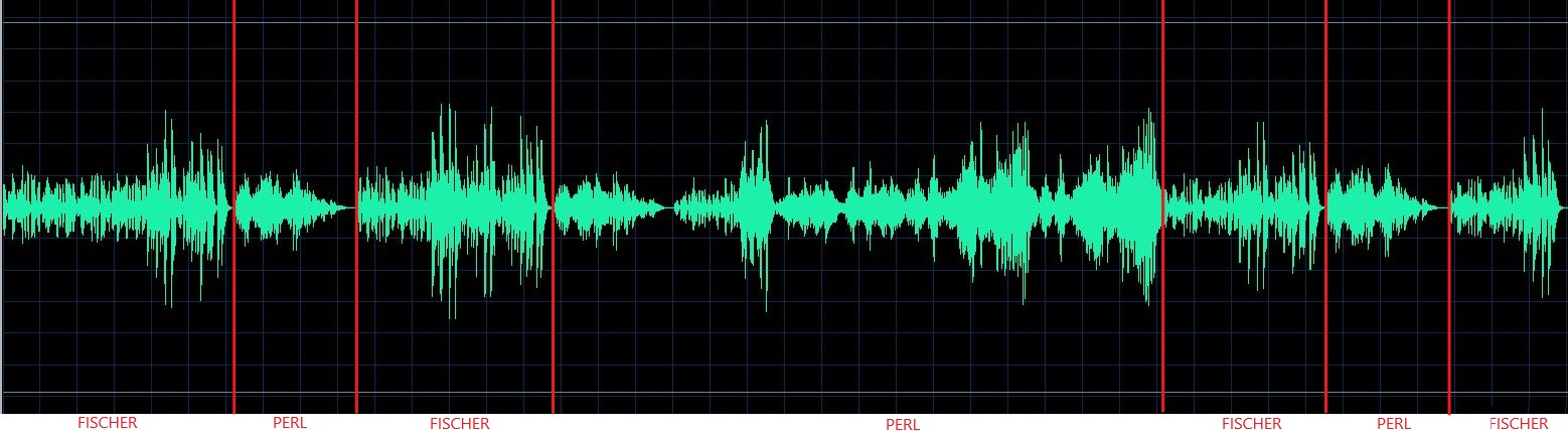 Fiorentino waveform