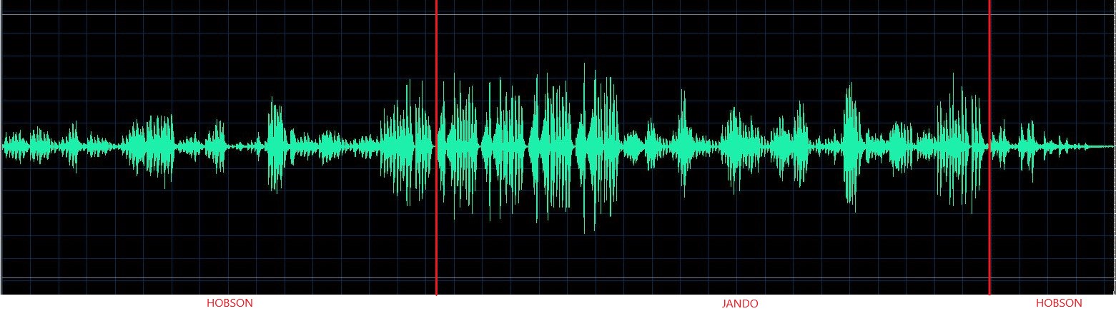 Fiorentino waveform