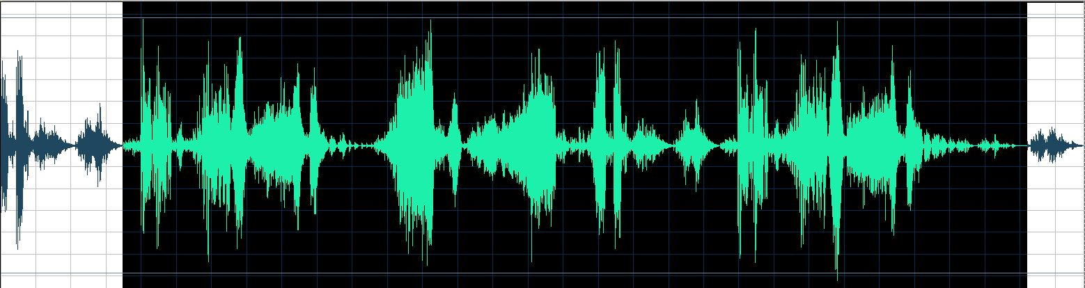 Nagai waveform