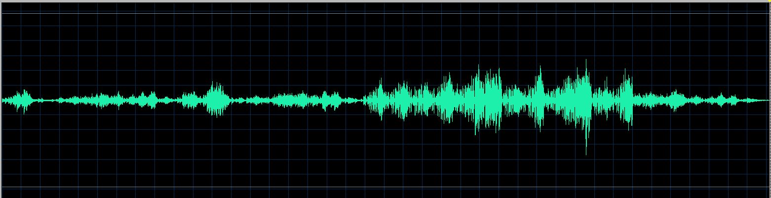 Fiorentino waveform