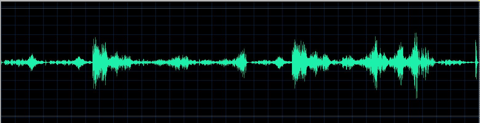 Fiorentino waveform