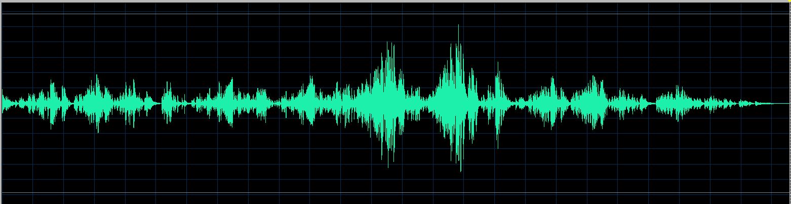 Olejniczak waveform