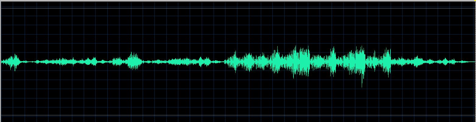 Zaritskaya waveform