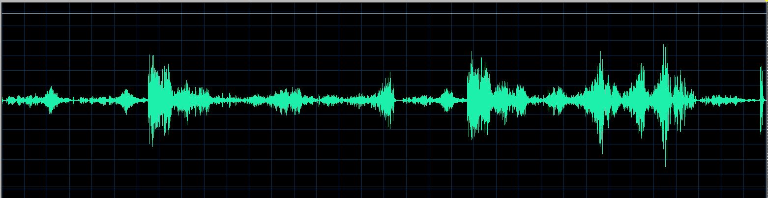 Zaritskaya waveform