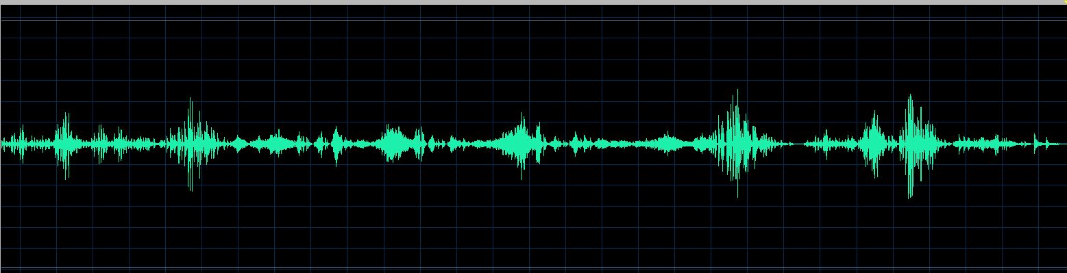 Bunin waveform