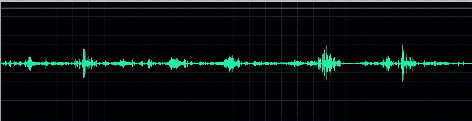 Fiorentino waveform