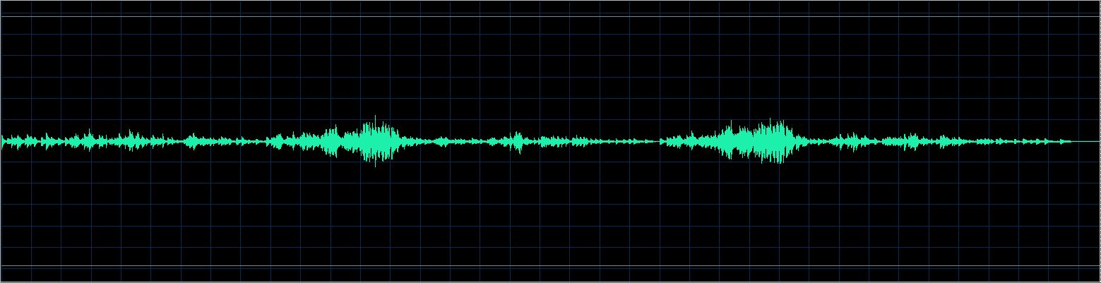 Bloch waveform