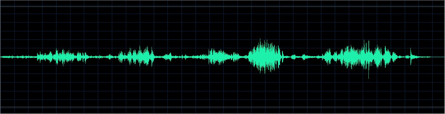 Fiorentino waveform