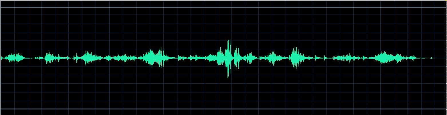 Fiorentino waveform
