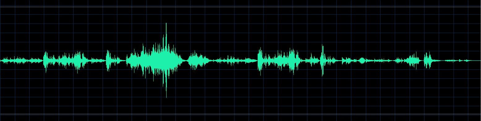 Fiorentino waveform