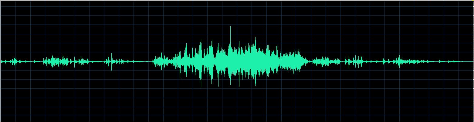 Fiorentino waveform