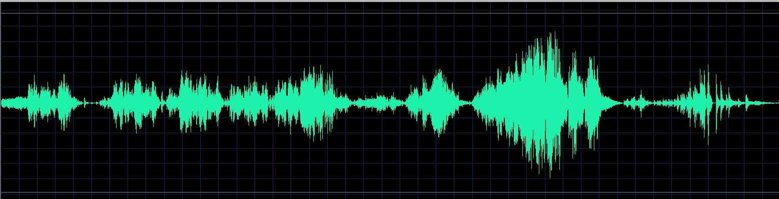 Pletnev waveform