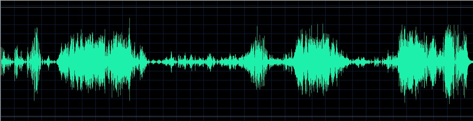 Pletnev waveform