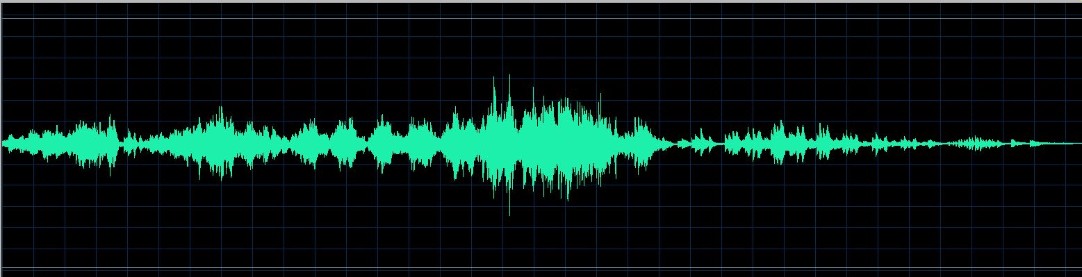 Ranki waveform