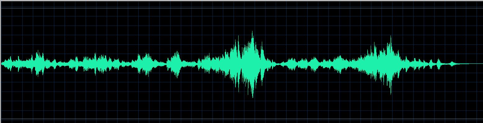 Ranki waveform