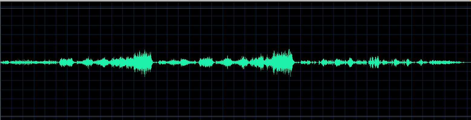 Fiorentino waveform