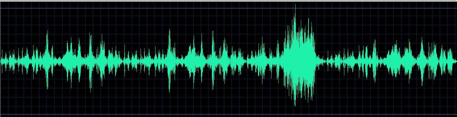 Ranki waveform