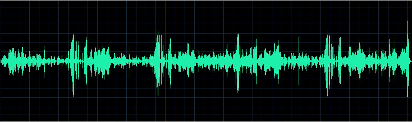 Walter Chodack waveform