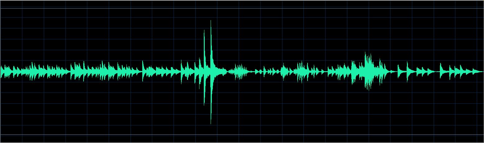 Walter Chodack waveform