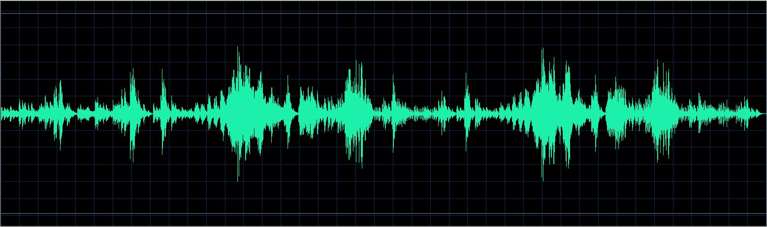 Walter Chodack waveform
