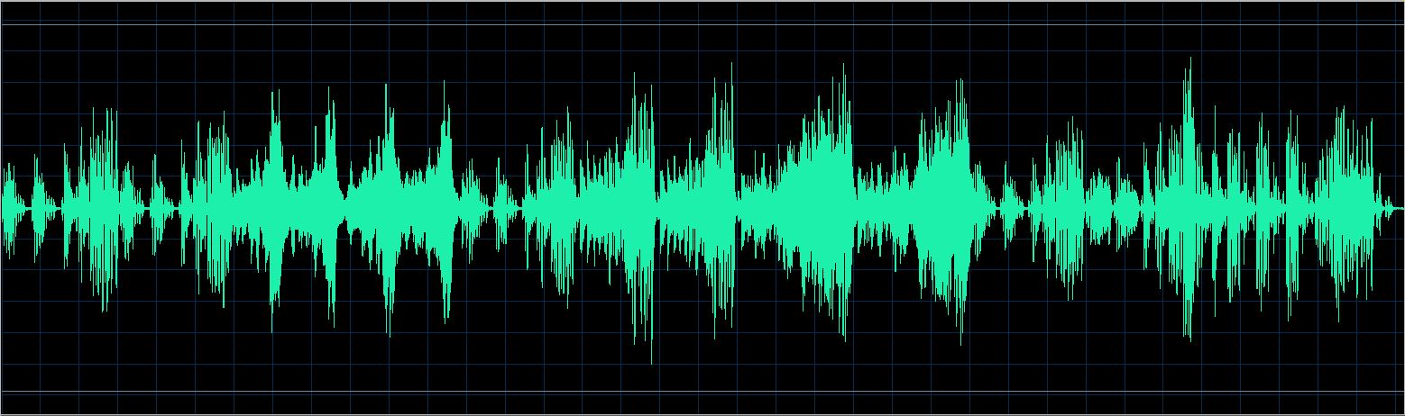 Walter Chodack waveform
