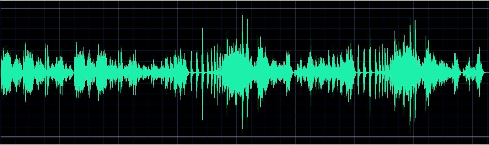 Walter Chodack waveform