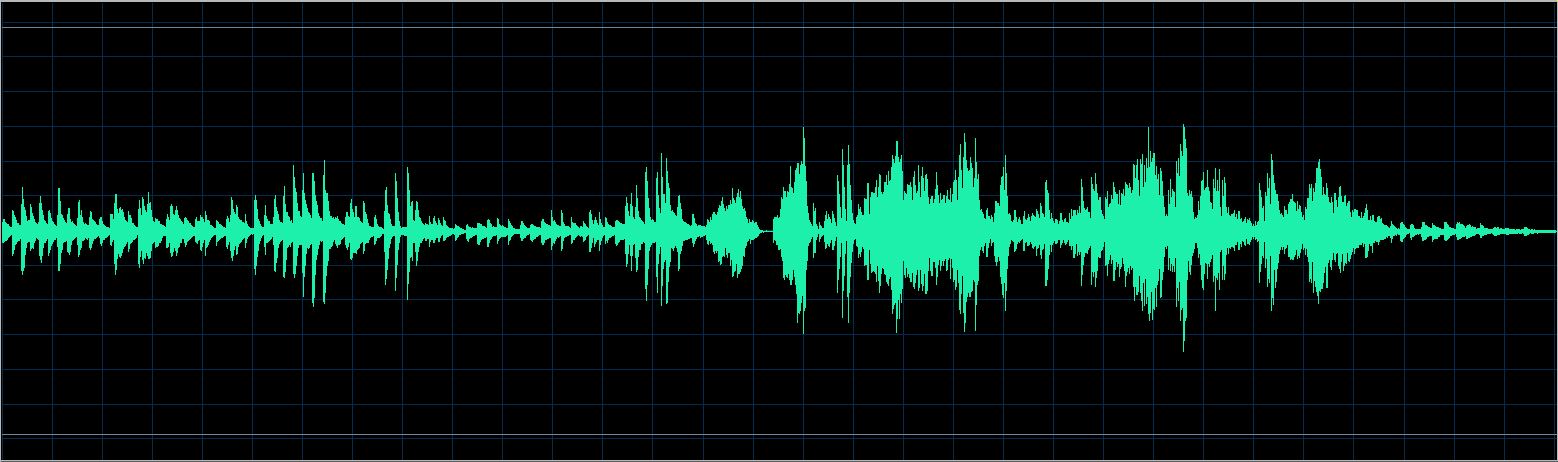 Walter Chodack waveform