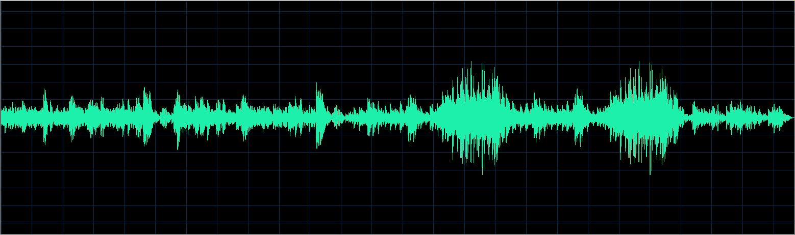 Walter Chodack waveform