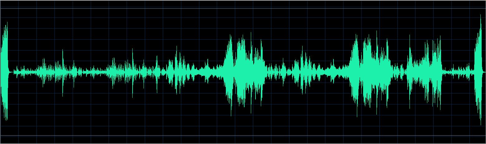 Walter Chodack waveform