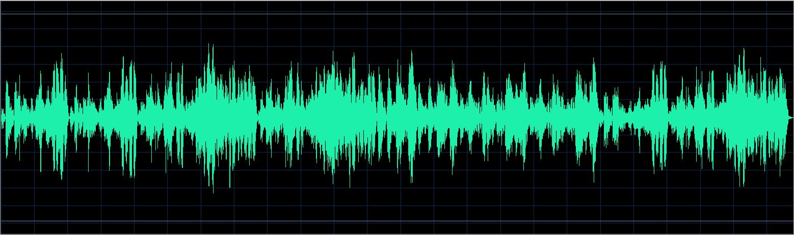 Walter Chodack waveform