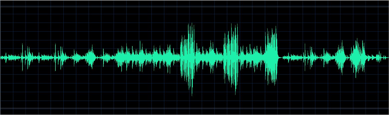 Walter Chodack waveform