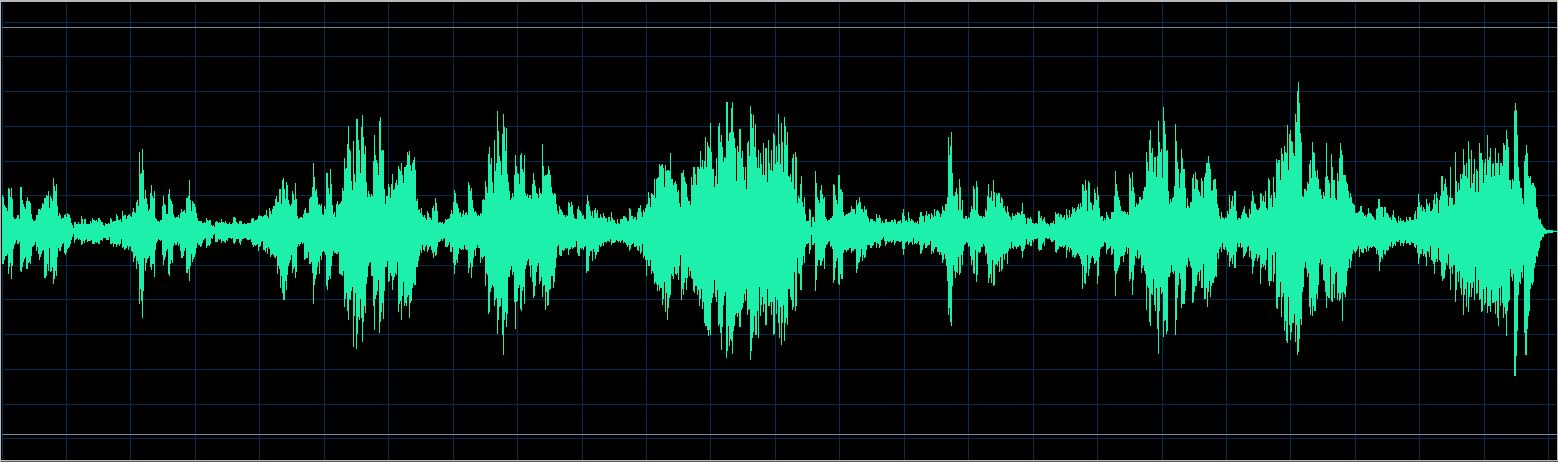 Walter Chodack waveform
