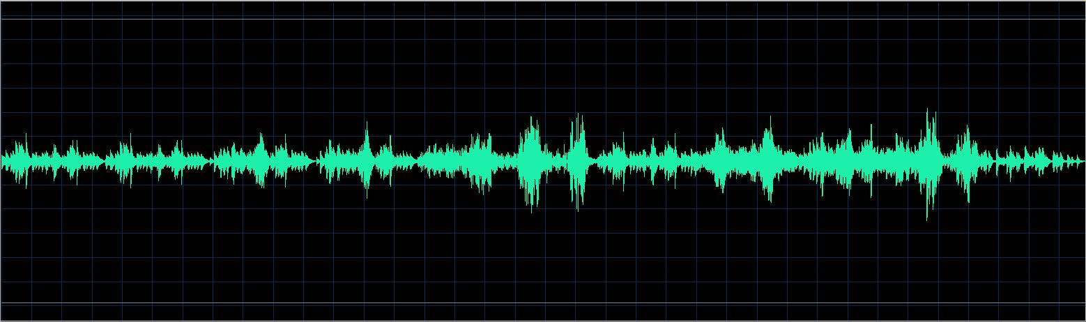 Walter Chodack waveform
