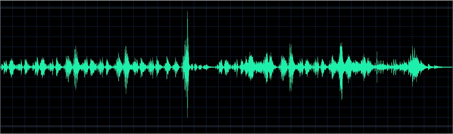 Walter Chodack waveform