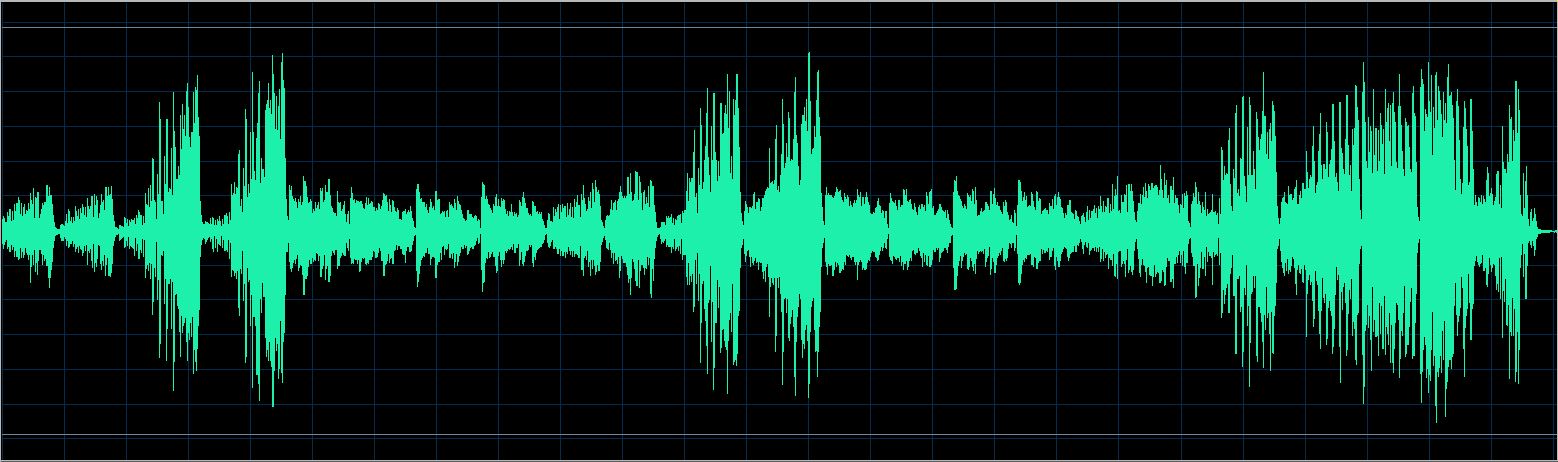 Walter Chodack waveform