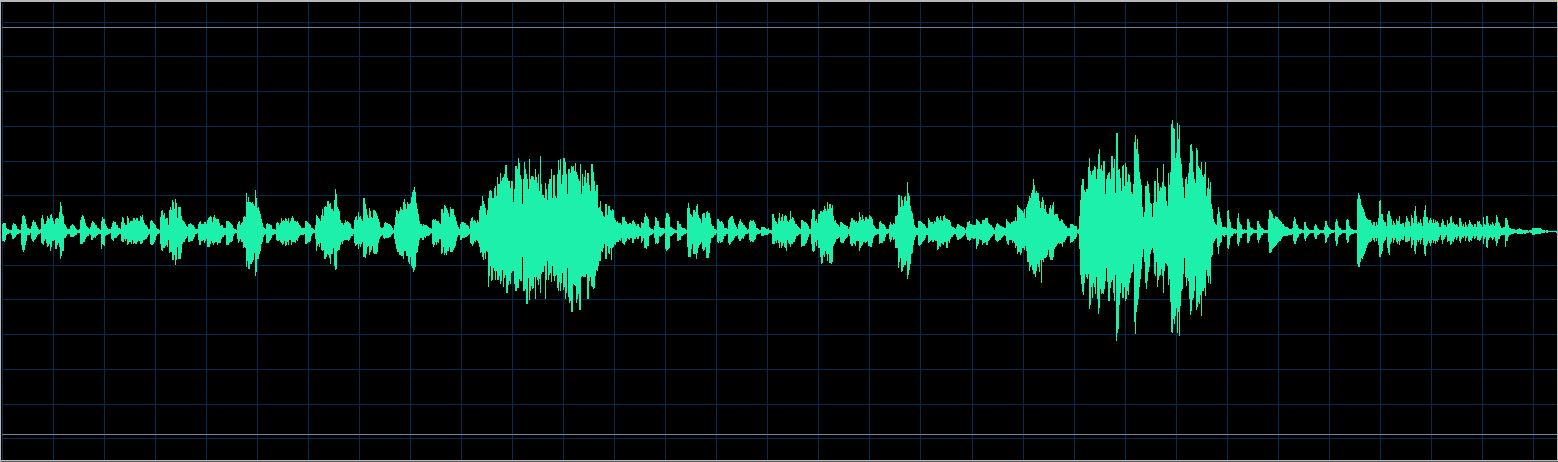 Walter Chodack waveform