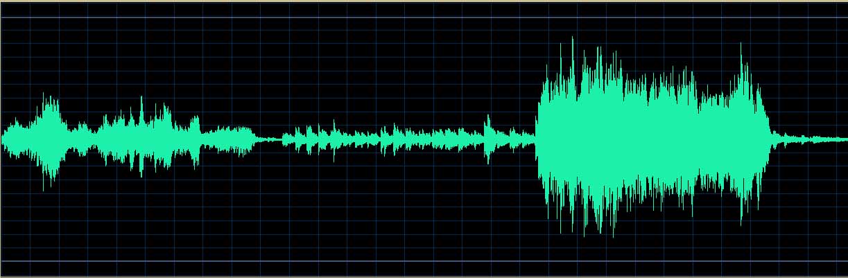 Zilberstein waveform