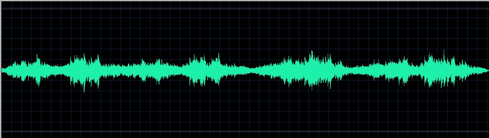 Mikhail Rudy waveform