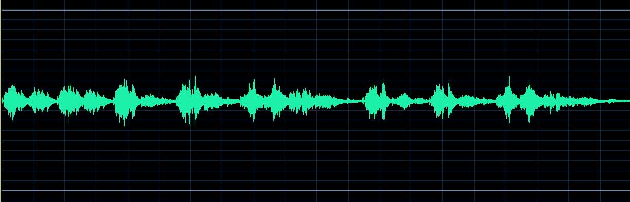 Raekallio waveform