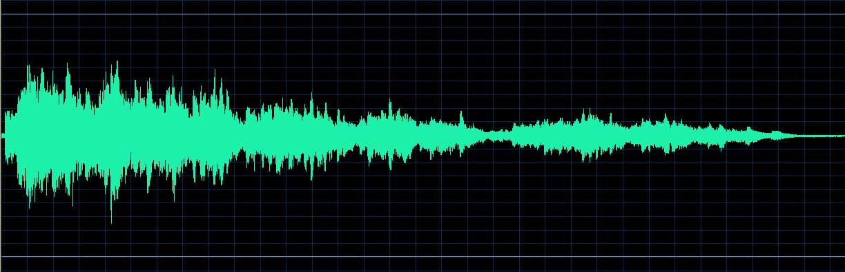 Zilberstein waveform