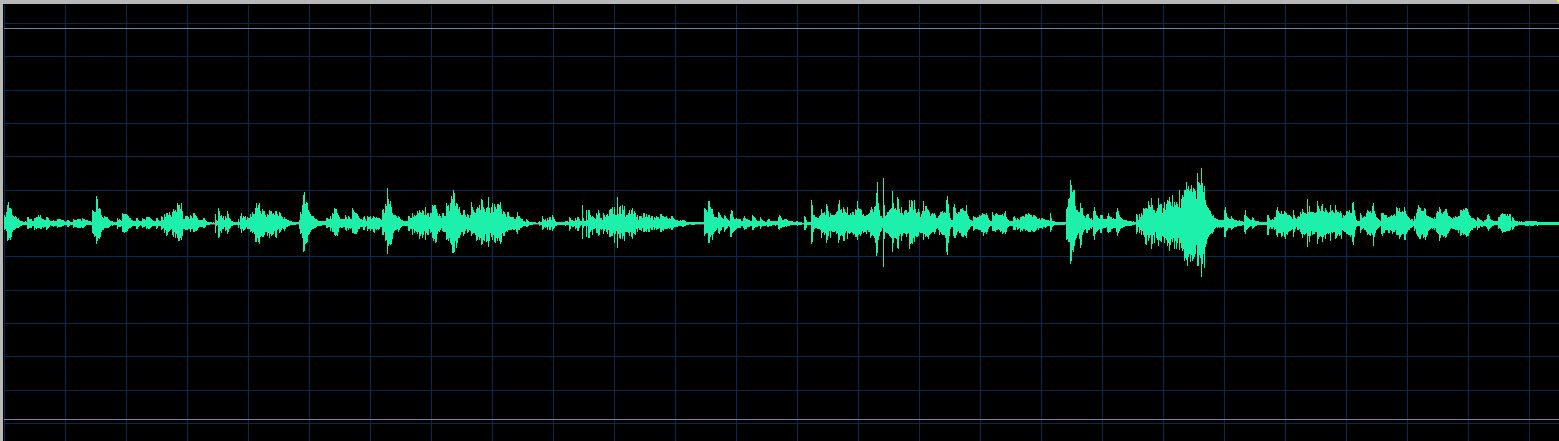Rudy waveform