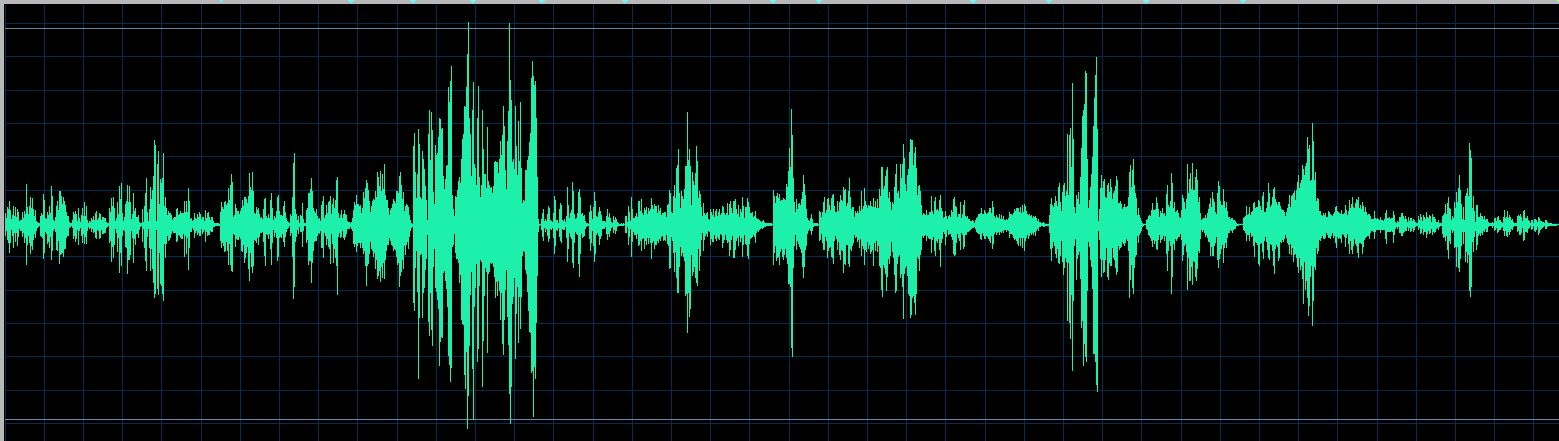 Mikhail Rudy waveform