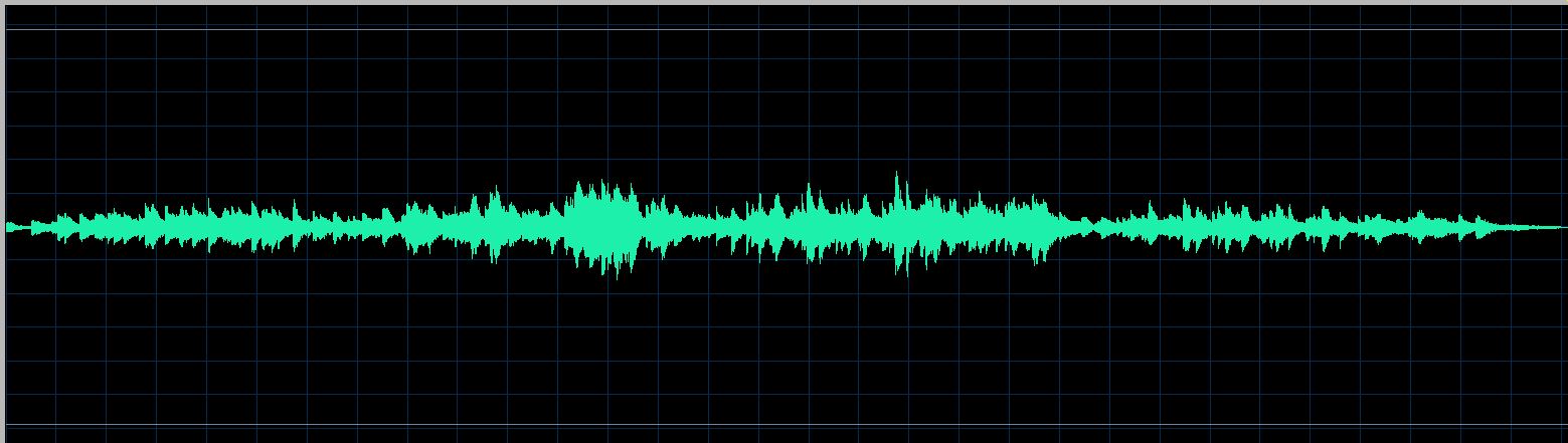Mikhail Rudy waveform