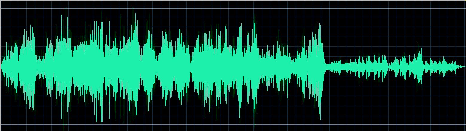 Mikhail Rudy waveform