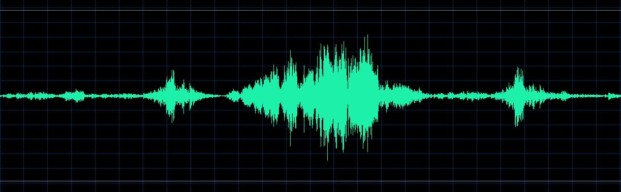 Hatto waveform (Track 3)