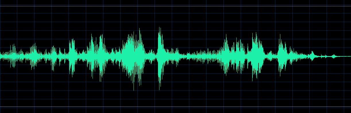 Source waveform (Track 16)