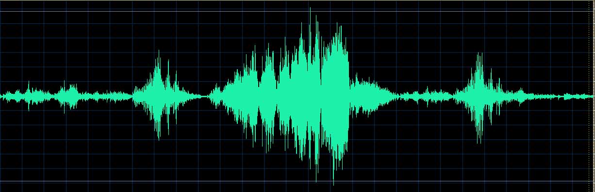 Source waveform (Track 3)