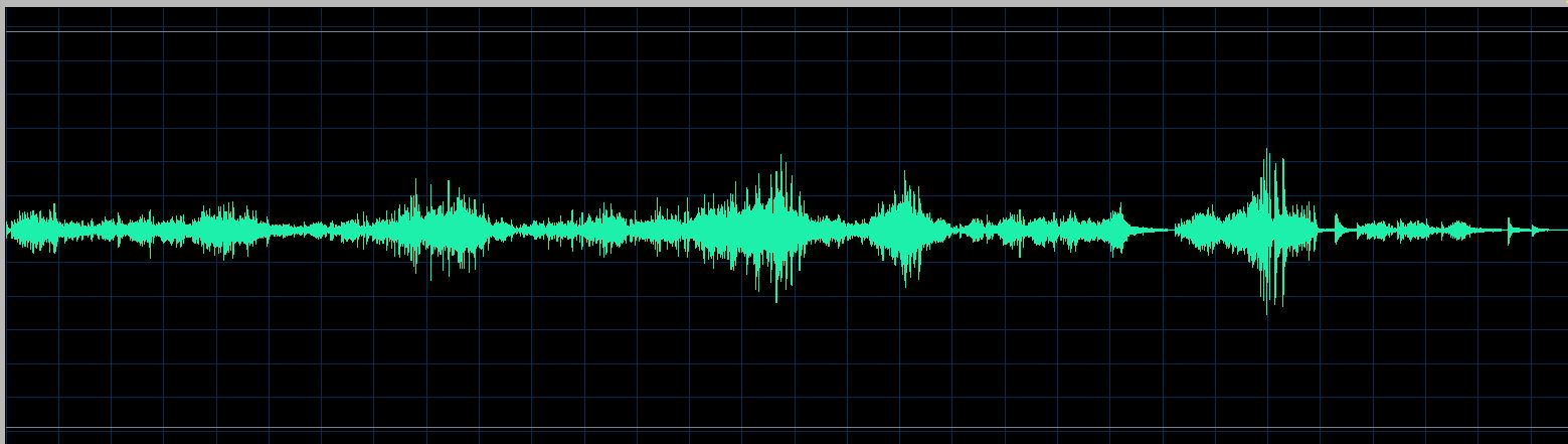Irina Zaritskaya waveform