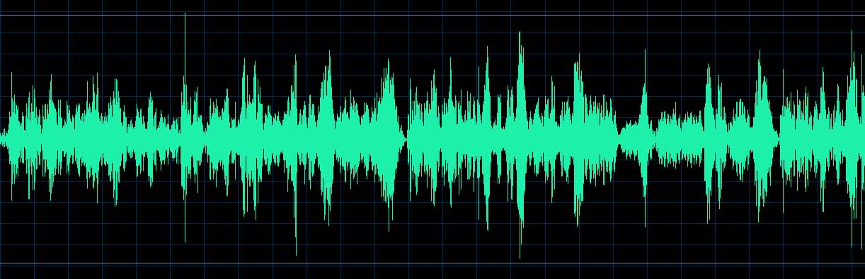 Trzeciak waveform (Track 1)